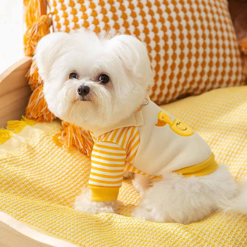 Sweat-shirt à capuche pour animaux de compagnie avec anneau en D, sweats à capuche fins pour chiens, manteau pour chat, imprimé rayé, veste pour chiot, mignon, automne, hiver, 2025
