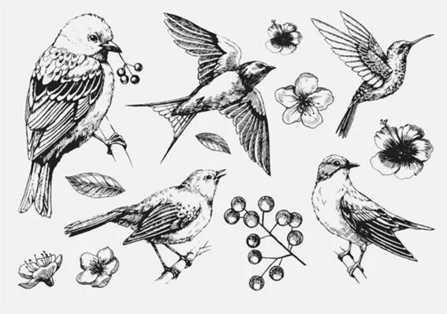 bird Clear Silicone Stamp / seal for DIY Scrapbook... – Grandado