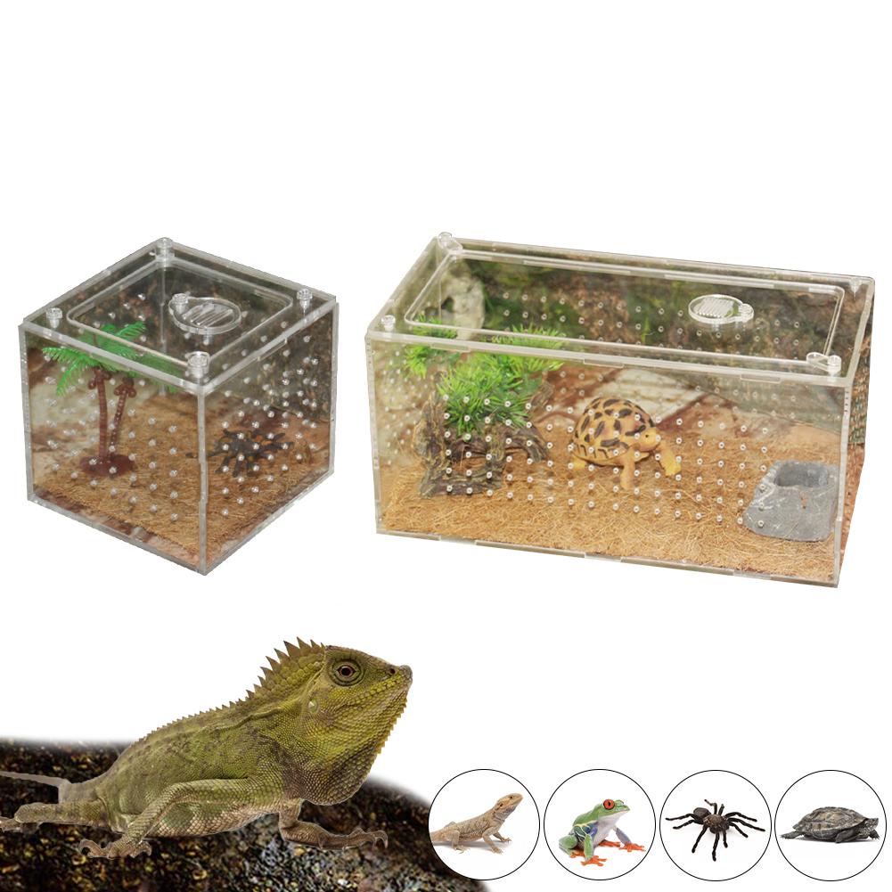 Krybdyr avlskasse klar akryl krybdyr terrarium fodring kasse holde varme husdyr hus til edderkop firben frø cricket