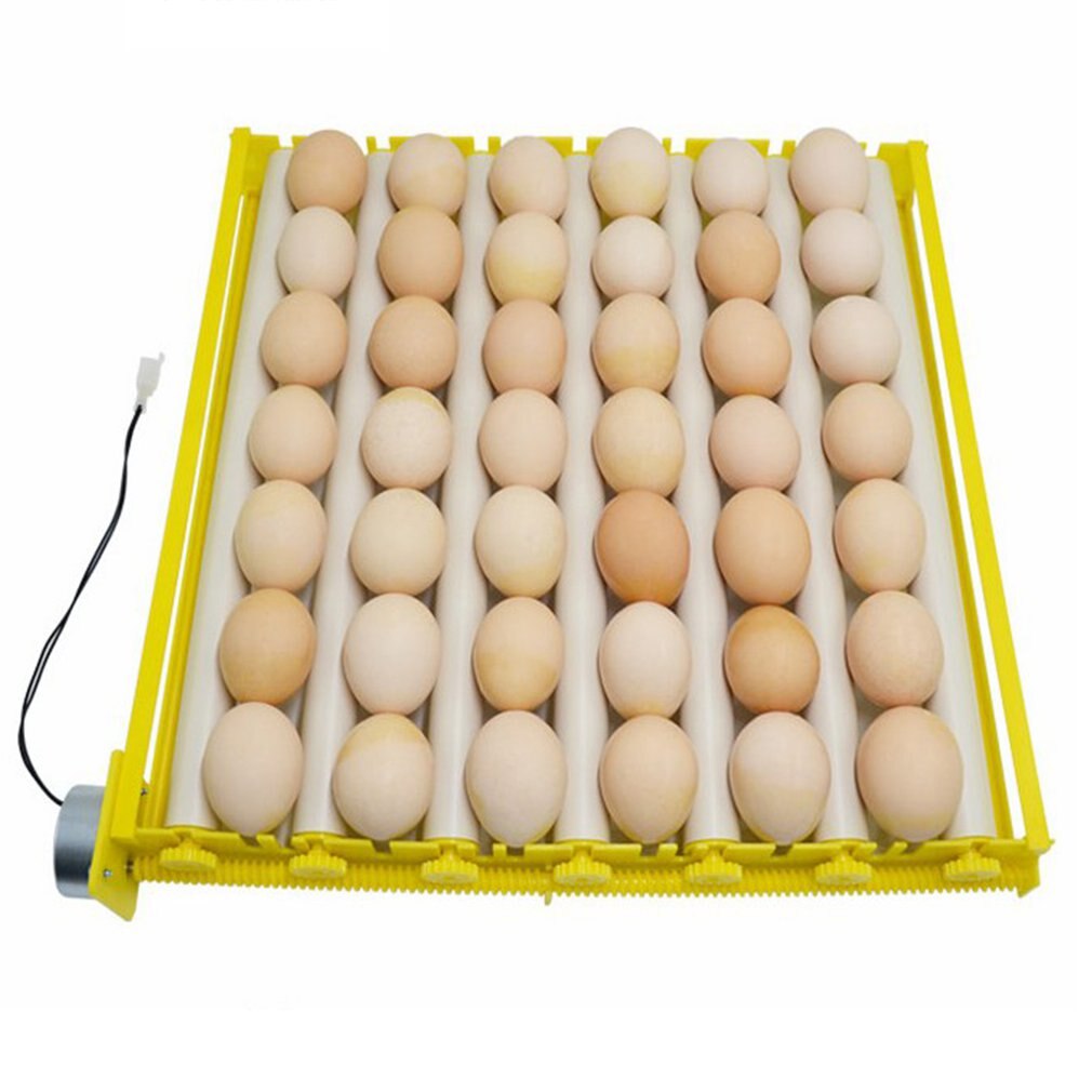 Accessoires pour incubateur d'œufs en plastique, plateau à œufs rotatif automatique et Durable
