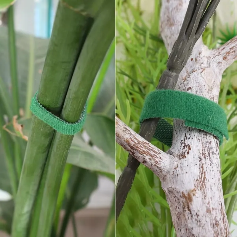 Fascette per piante autoadesive Fascette per piante in nylon regolabili Spago da giardino Fasciatura per piante Gancio Anello Vite Avvolgimento Nastro di supporto Striscia di fissaggio