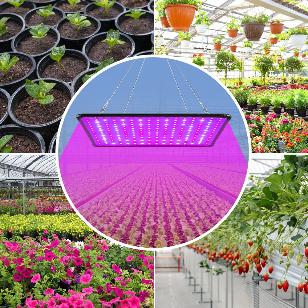 LED Voll Spektrum Licht 2000W Wachsen Licht GEFÜHRTE Anlage Lampe 220V Innen Wachsen Lampe Phyto Blume Samen LED gewächshaus Beleuchtung 110V