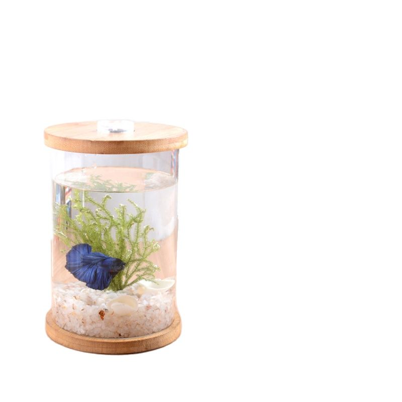 DIY Pattern Ecological Bottle Fish Micro Landscape Aquarium Small Fish Living Bucket Desktop Small Fish Tank