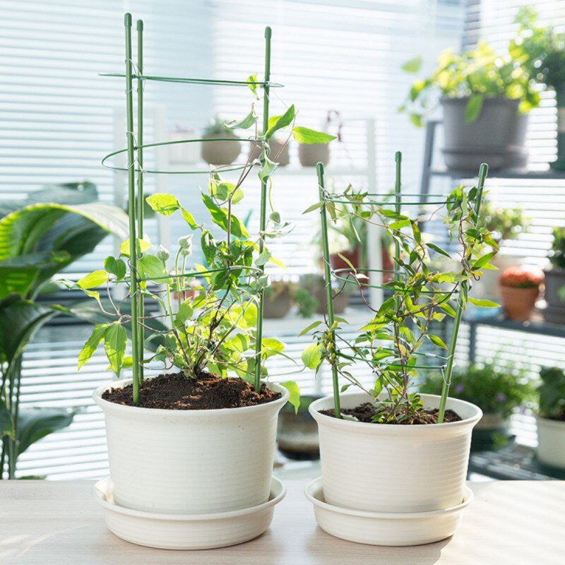 Hållbart klätterranka växtstöd 45cm/60cm plastbelagda järn växtstöd ram trädgård balkong växt blomma spaljé