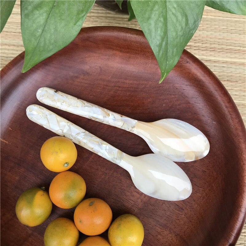 Deep sea shell spoon kitchen accessories shell small spoon fork children spoon tableware set Tablespoon