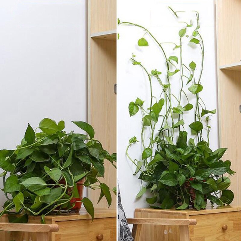 150Pcs Invisible Wall Vines Fixture Wall Sticky Hook Climbing Vine Plant Fixer Home Balcony Garden Decoration Holder M