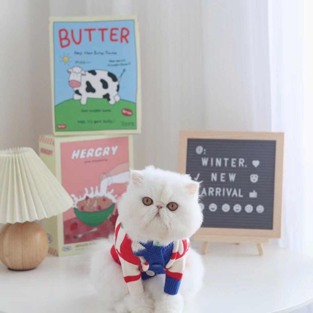 Cardigan pour chien, Style, pull, veste, manteau pour petit et moyen gabarit, Schnauzer, yorkshire, bouledogue français, carlin, LDC52