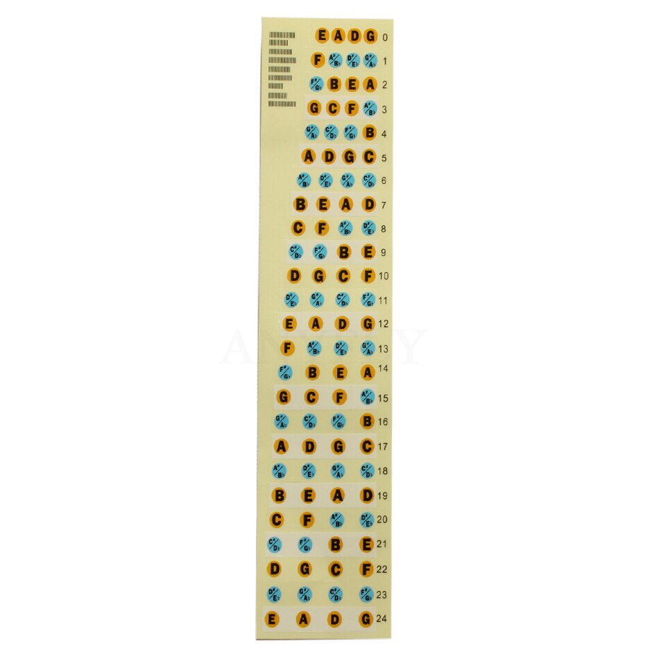 Four Strings Bass Neck Fretboard Fingerboard Note Scale Label Sticker Fret Color Sticker
