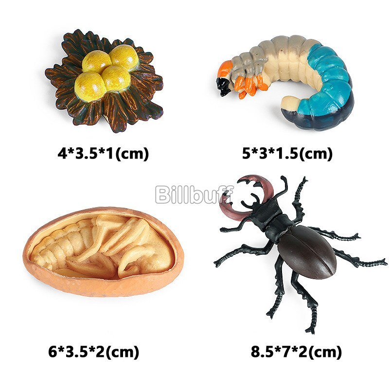 Simulatie Bloem Plant Dier Insect Actiefiguren Zonnebloem Rose Model Realistische Pvc Beeldjes Cognitieve Speelgoed Voor Kinderen: insect figures-H