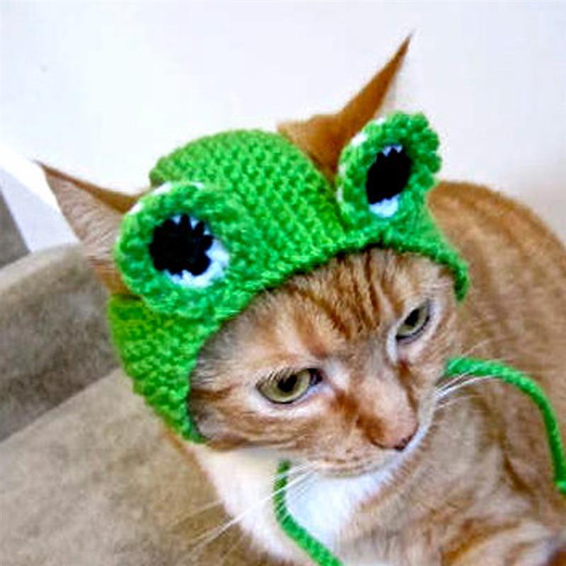 Tejido de punto lindo gato sombreros Rana cachorro gatito sombrero para invierno y otoño de algodón hecho a mano mascota de perro accesorios para perrito