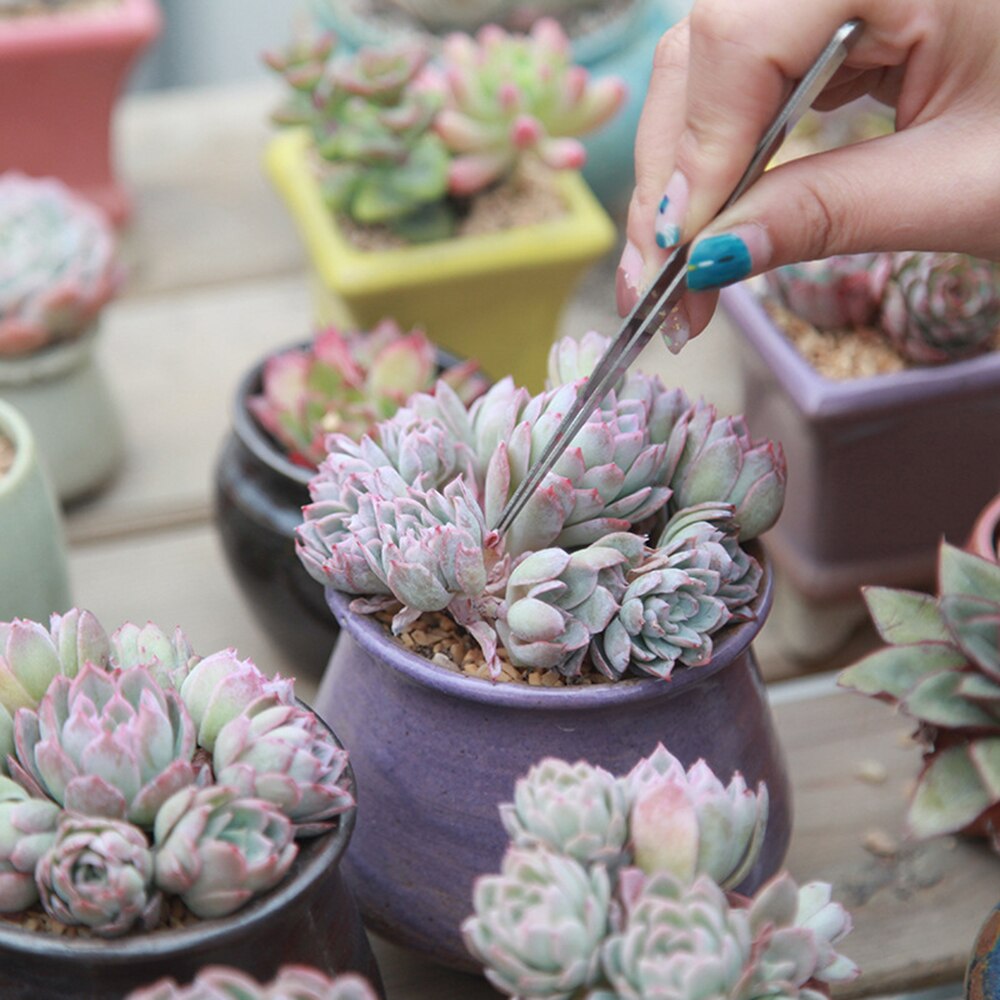 10 PCS Mini Garden Plant Tool Set with Wooden Handle Gardening Shovel Rake Tools Kits Balcony Home-grown Mini Digging Suits