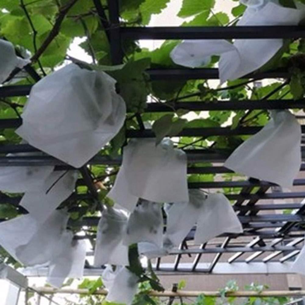 100Stck Trauben Schutz Taschen, Obst Schutz Garten Obst Blume Schutz Tasche Zu Verhindern Wespen, VöGel, kirsche Essig Fliege