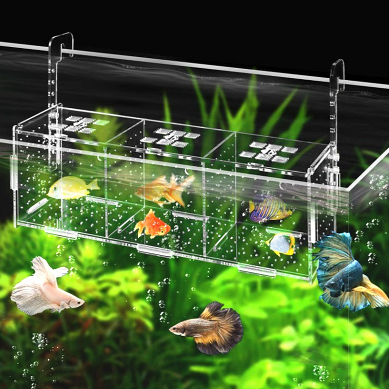 Aquarium boîte d'isolement boîte d'élevage de poissons acrylique boîte d'élevage boîte d'isolement incubateur de poissons diviseur accessoires d'aquarium fournitures de poisson