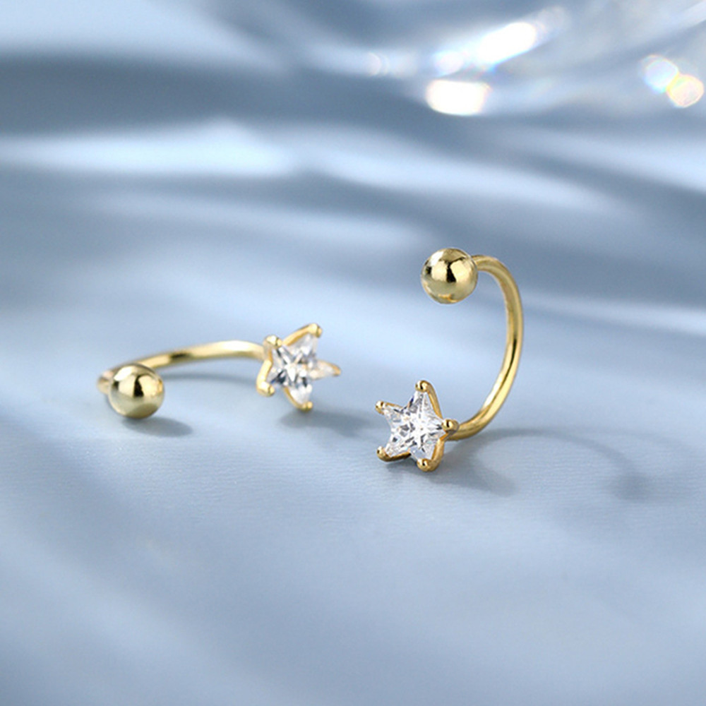 2 STUKS Rvs Star Crystal CZ Oorstekers Oorbellen Vrouwen Zilver Kleur Tragus Kraakbeen Helix Piercing Sieraden