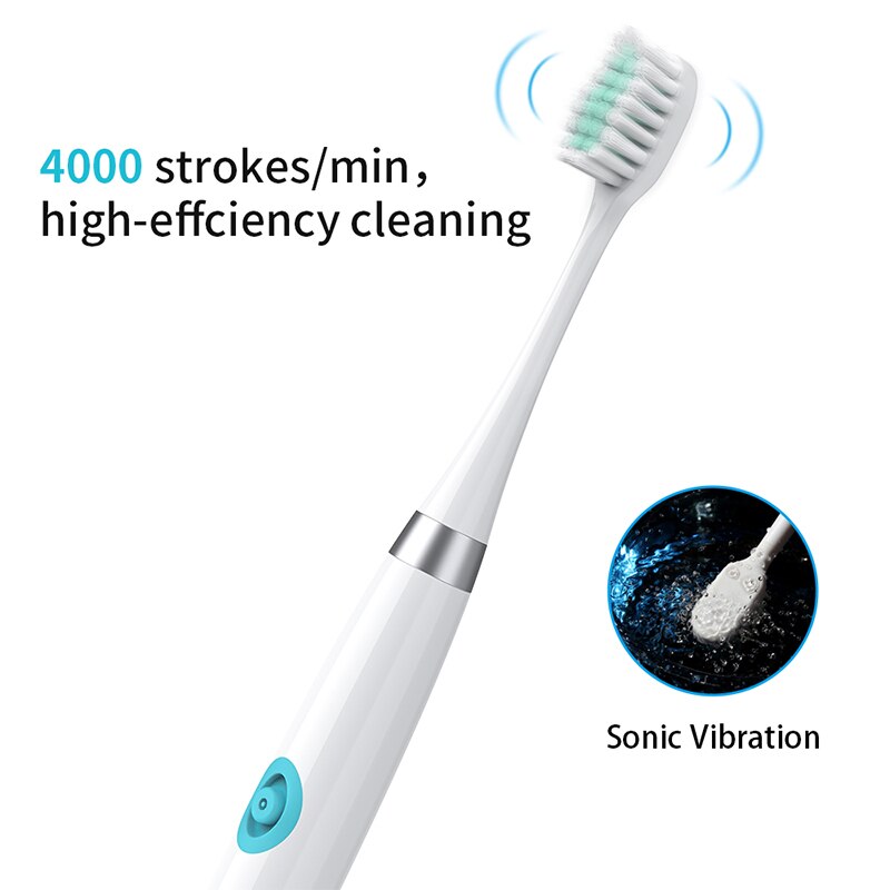 Sonic Toothbrush Electric ToothBrush Battery Operated Oral Hygiene Non Rechargeable Tooth Brush Deep Clean Adult Waterproof IPX7