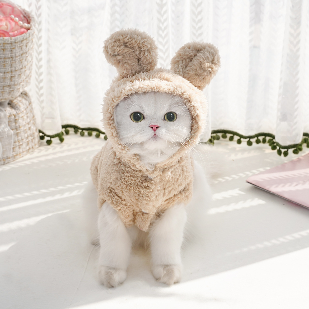 Oreille de lapin confortable coton polaire à capuche vêtements pour animaux de compagnie automne et hiver vêtements chat sweat à capuche chien vêtements fournitures