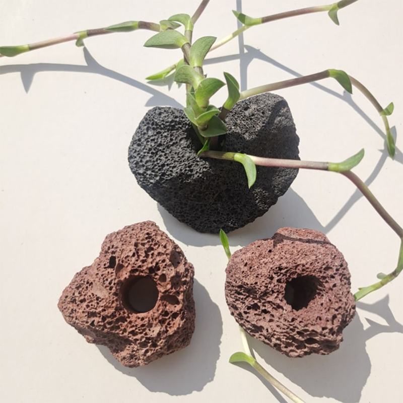 Decoración de acuario volcánico, maceta de fijación de plantas para pecera, plantas de agua de lunares, taza de plantación en maceta, accesorios para acuario, filtro negro