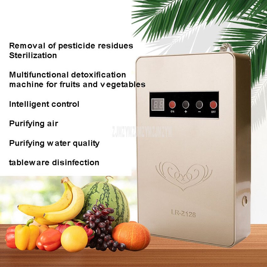 600 mg/h generator ozonu oczyszczacz powietrza wody żywności sterylizator oczyszczacz oczyszczania warzyw owoców detoksykacji Ozonator