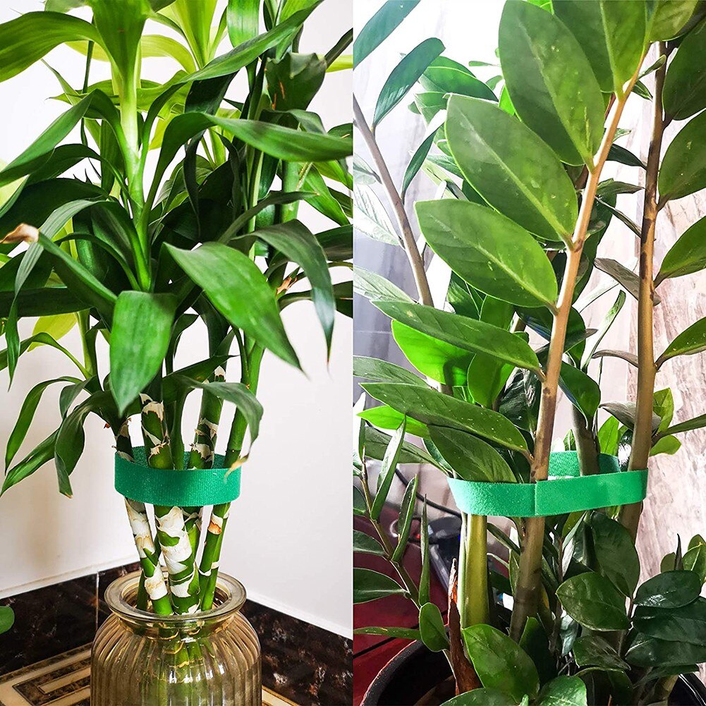 Lazos de nailon para plantas, 5m, lazo de Velcro para jardín, cinta con forma de planta, gancho, lazo de caña de bambú, accesorios de jardín