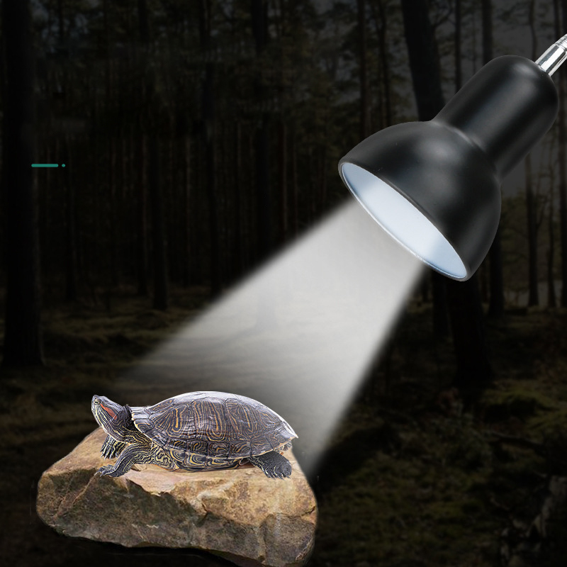 UVA UVB 3.0 impostato di portalampada per rettili per animali domestici con termometro a clip igrometro lucertola tartaruga tartaruga crogiolarsi lampadina riscaldante 220V