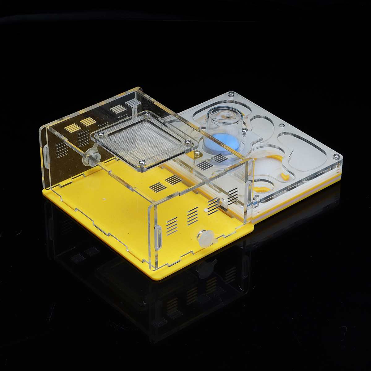 DIY Ameise Nest Ameise Bauernhof Ameisen Arbeit Pädagogisches Formicarium Acryl Insekt Ameise Nester Villa Haustier Manie Haus freundlicher