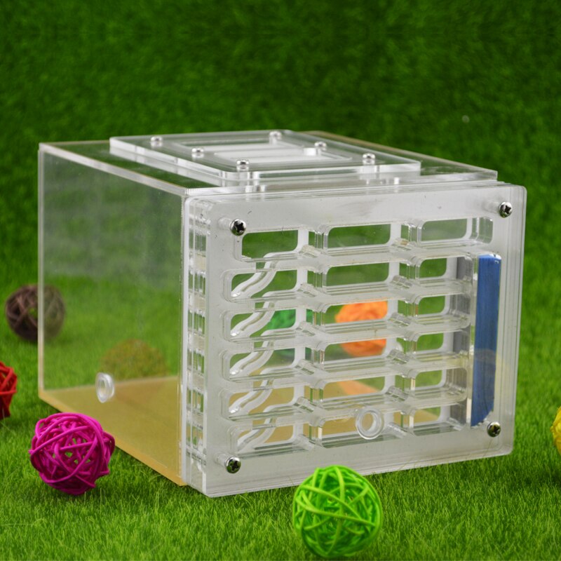 Large Ant Farm Acrylic Moisturizing Ant Nest Pet Breeding Ants Farm House Reptile Terrarium: Default Title