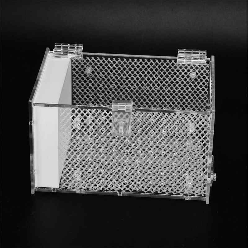 Insect Rearing Box Insects Cage Landscaping for Insect Rearing for Insect Feeding