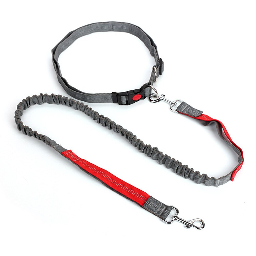 Nylon elastisk hundesnor blyrem reb talje bælte gående løbende: Rød