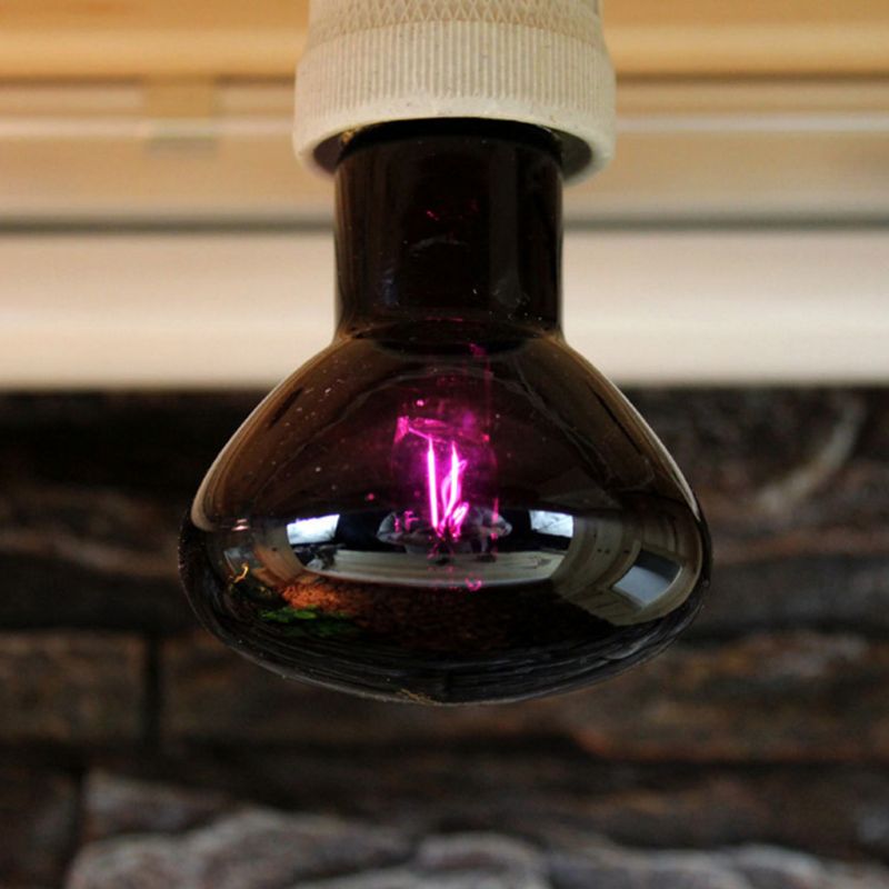 Reptile UVA Heating Lamp Climbing Pet Lizard Tortoise Heat Light Turtle Box Bulb Rearing Night Lights