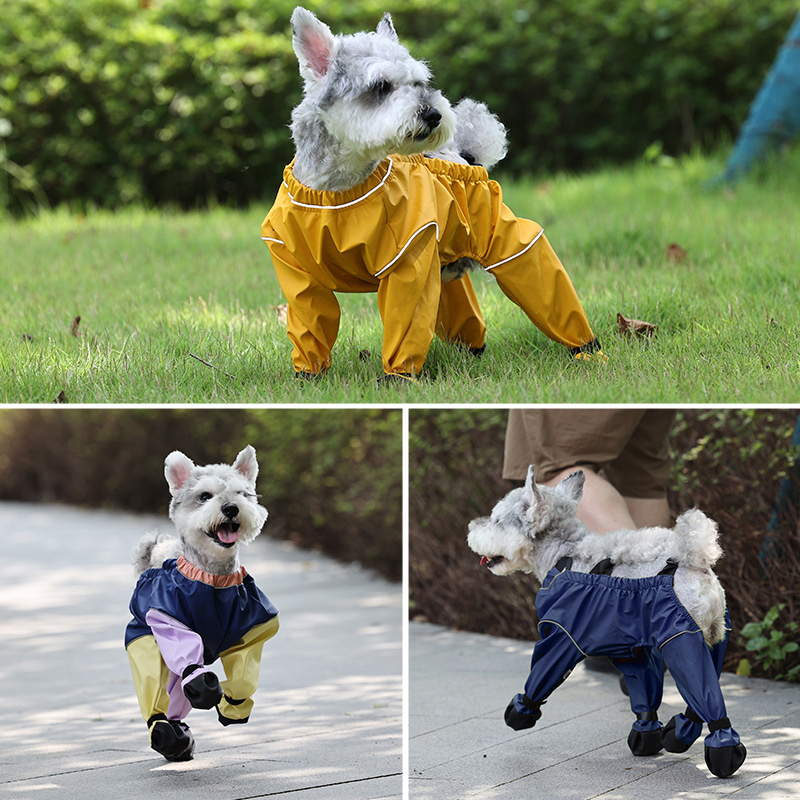 Wasserdichte Hundeschuhe, gehen-Gamaschen, rutschfeste Hosenträgerstiefel für kleine und mittelgroße Hunde, Schlauch, Pfotenschutz für Teddy Terrier Bichon
