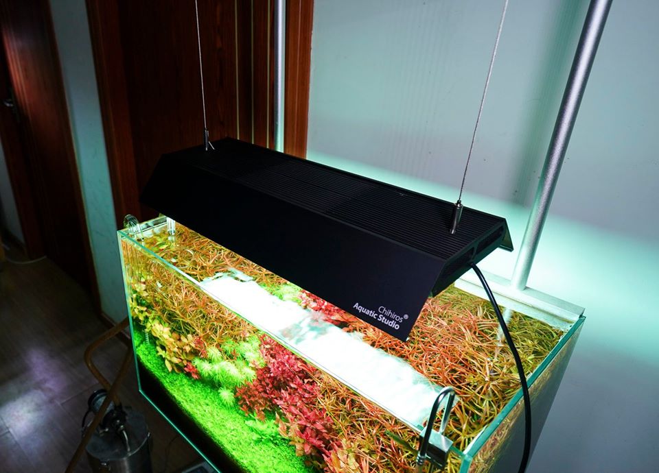 Chihiros WRGBluz LED para acuario, accesorios de luz reflectante