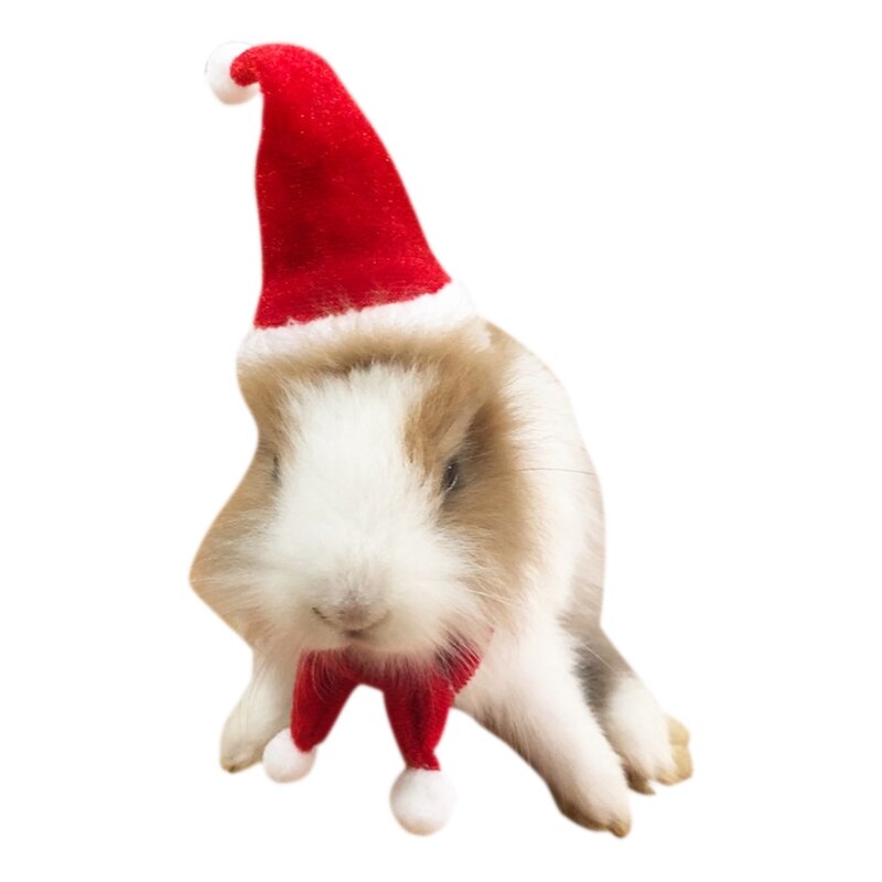 Lille kæledyr jul hat bomuld hamster julemanden kasket med tørklæde kæledyr cosplay diy pindsvin marsvin hamster tilbehør: Default Title