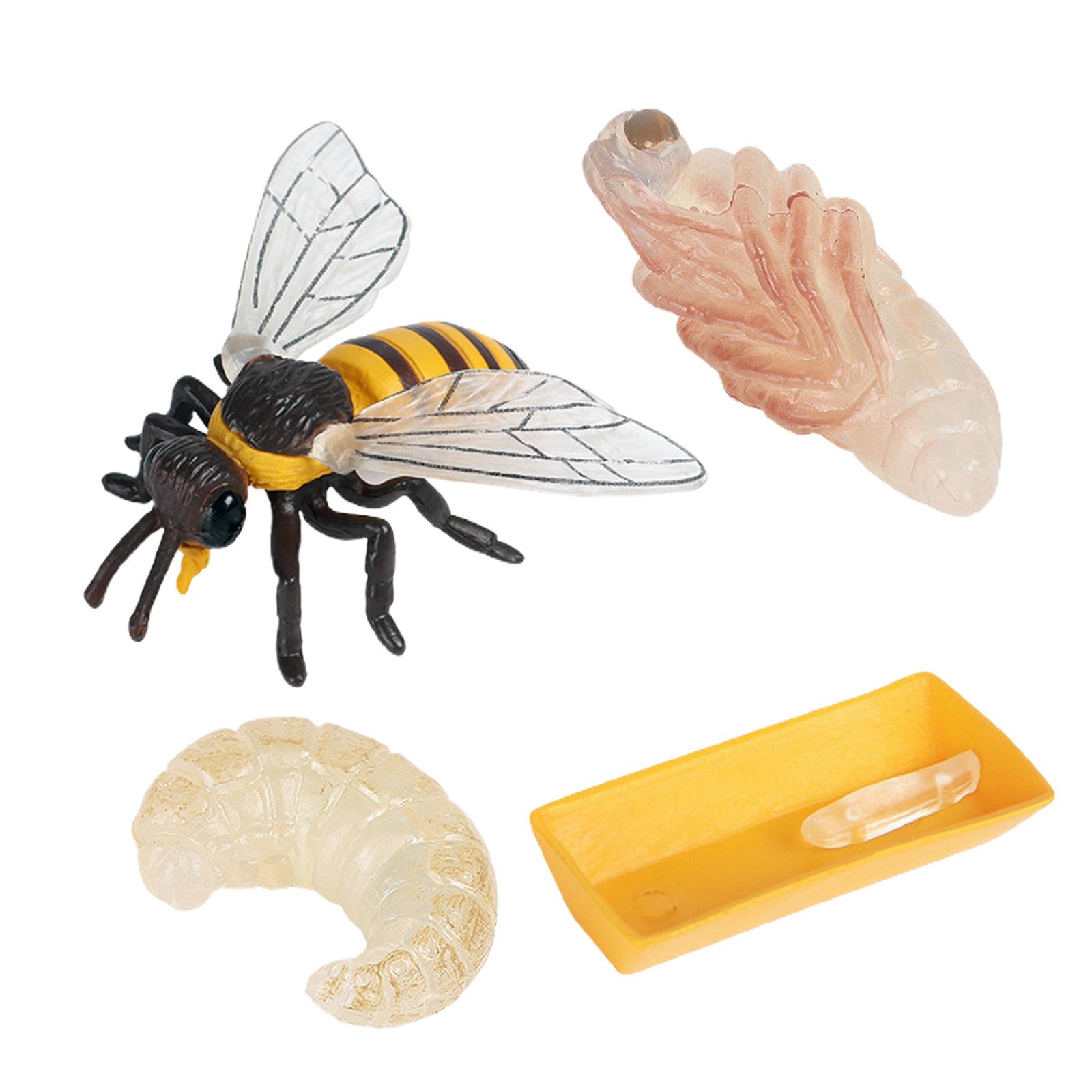 4Pcs Assorted Plastic Insects Bee Bug Figures Model Kids Educational Toys