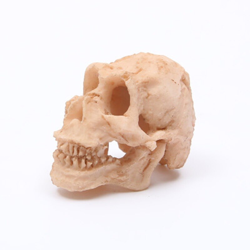 Akwarium ryby pająk jaszczurka ukrywanie jaskinia akwarium żółw gad ukryj siedlisko ornament dekoracyjny gady Terrarium kształtowanie krajobrazu