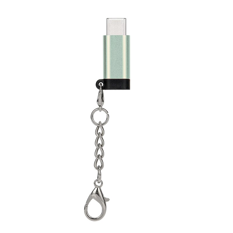 1pc Lightning Female To Type-C Male Charger Cable Adapter For IPhone Keychain Cable: silver