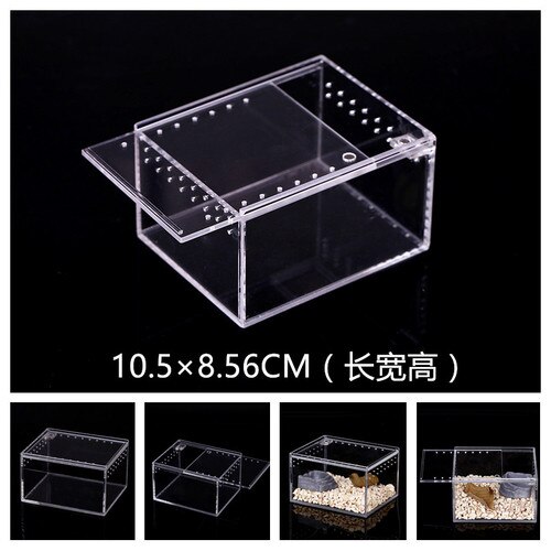 1PCS 4 Size Acrylic Reptile Feeding Box Insect Box Praying Mantis Reptile Home Insect Cage Reptile Terrariums: 10.5x8.5x6CM