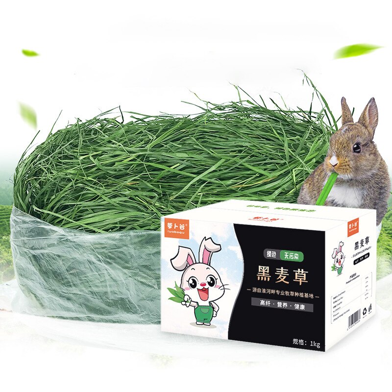 Verse Gedroogde Raaigras Fcl Hooi Snacks Feed Chinchilla Cavia Voedsel Konijnen Huisdier Producten Farm Animal Levert Bunny Accessoires