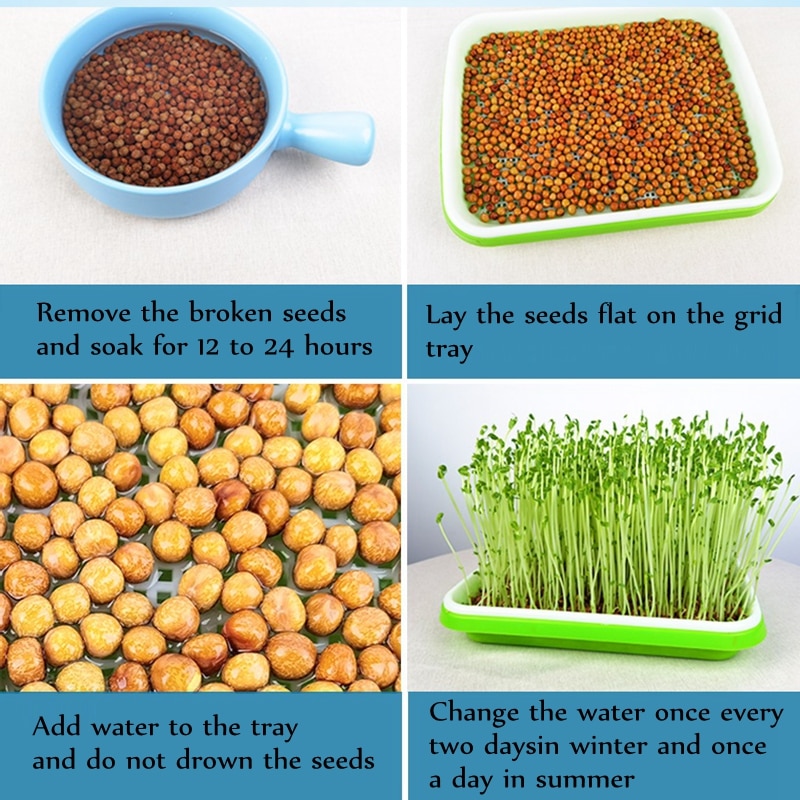 1 sett spirefat voksepotte hydroponiske vegetabilske bønner såpotte husholdningsplanter spirebrett barnehage med lokksett