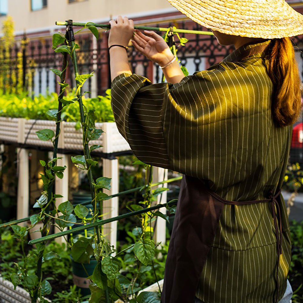 10 PCS Universal Plastic Clips Plant Support Fixed Connector Pillars Gardening 11mm Fixed Bracket Climbing Pergola Connector