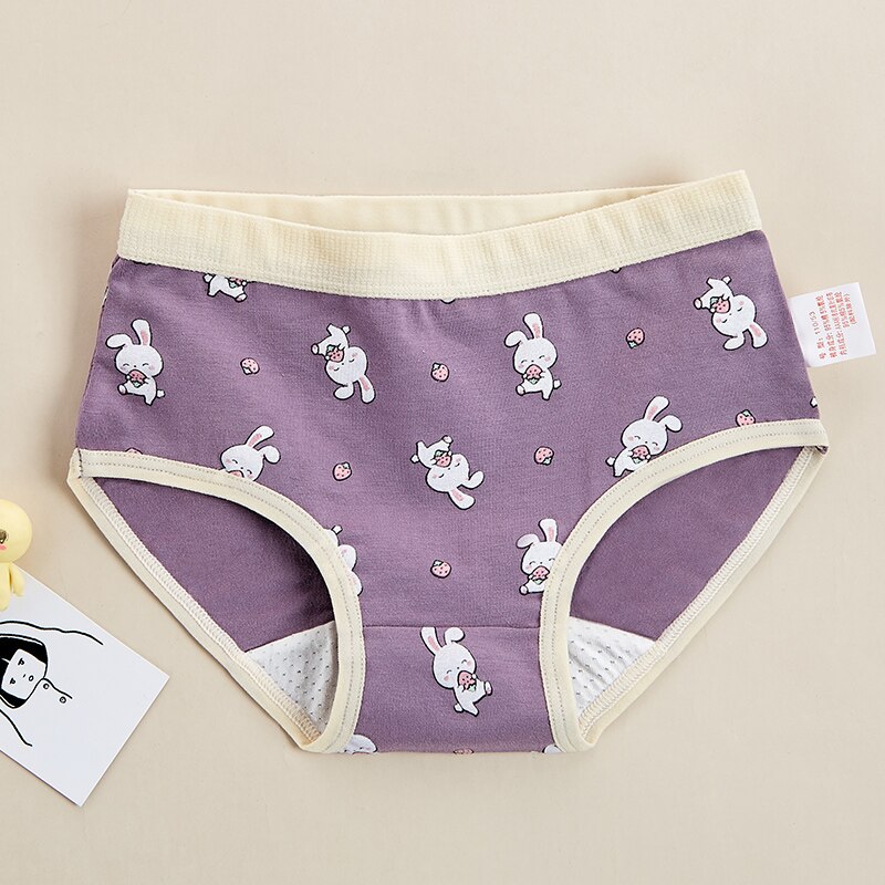 Prinzessin Nette Baumwolle Mädchen Unterwäsche Brife Karikatur Mädchen Unterhose Höschen Mädchen Kleidung für 6 7 8 9 10 11 12 jahre alt 212043