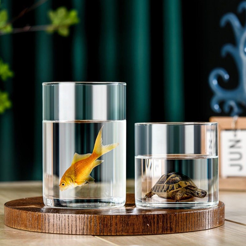 Vaso vidro contemporâneo com cilindros vidro decorativos para flores e velas