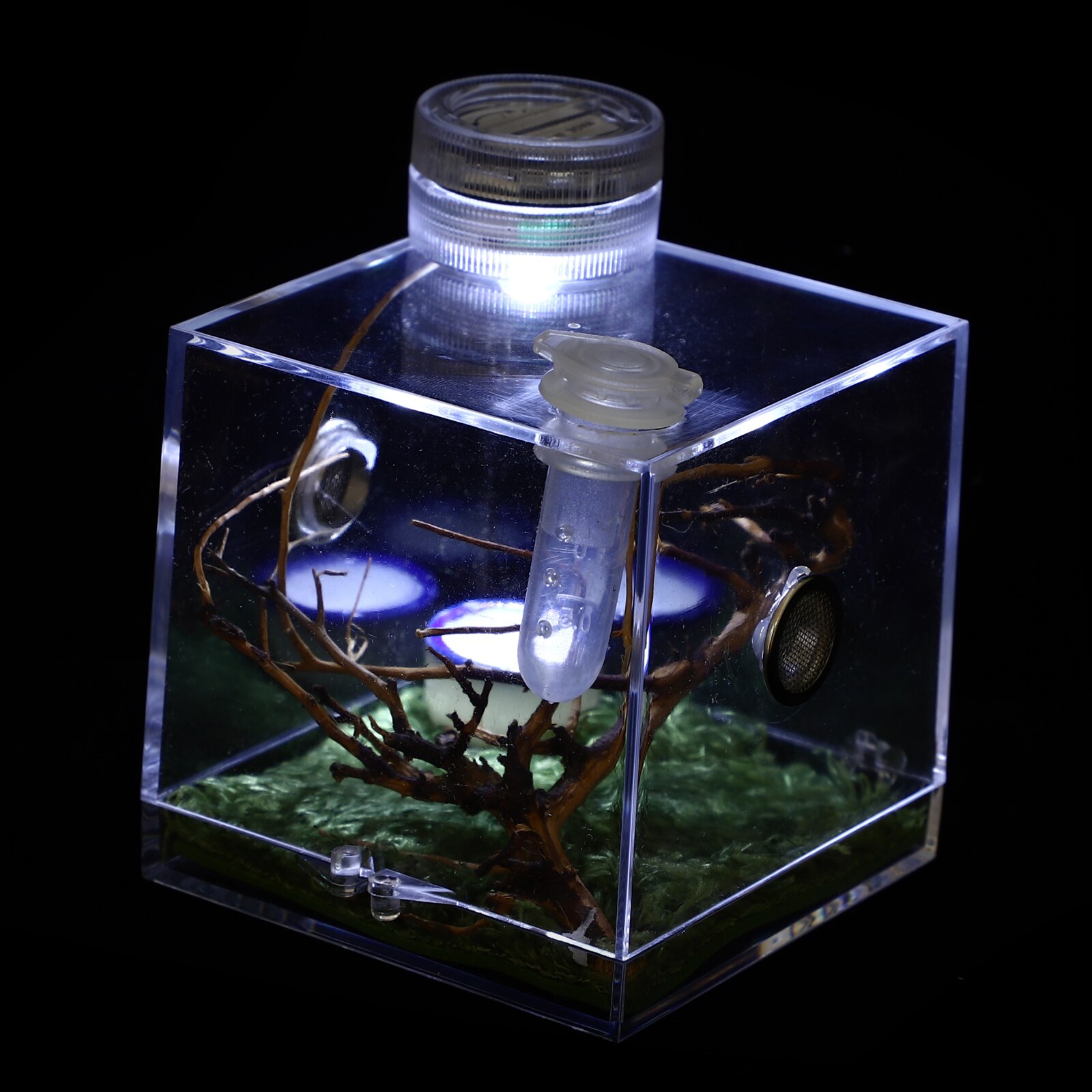 3-Pack Jumping Spider Enclosures - Small Acrylic Breeding Box With Mesh Ventilation