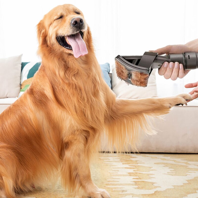 Aspirateur de poils d'animaux, brosse de nettoyage pour chiens Dyson, accessoire de remplacement, produits pour animaux de compagnie