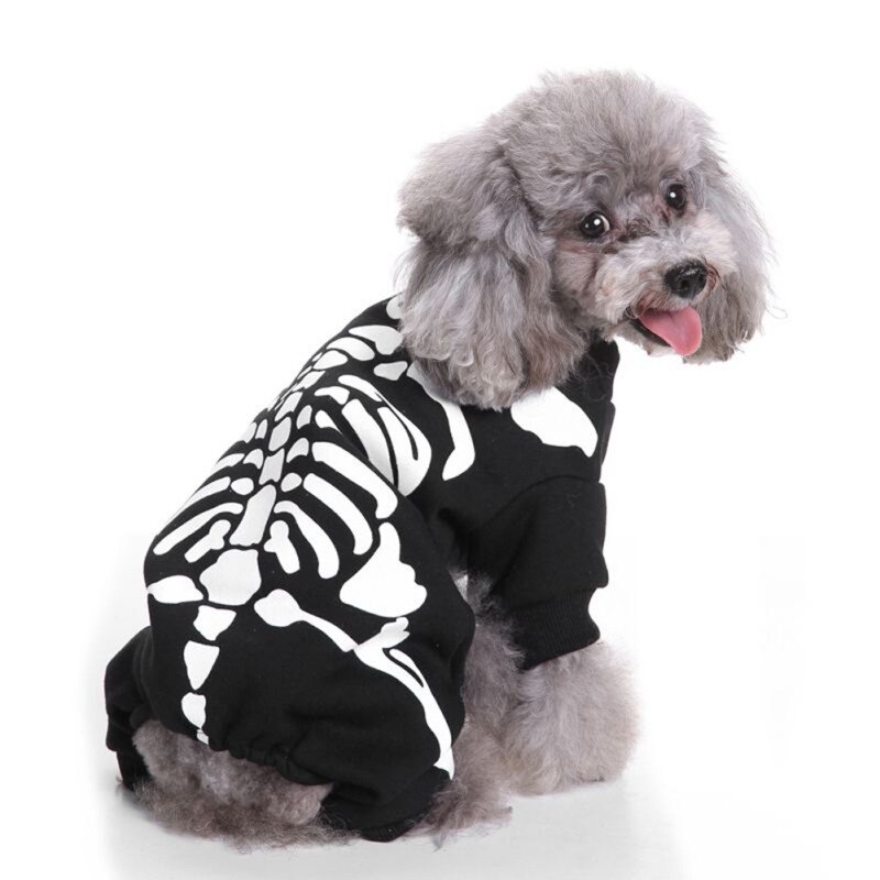 Veste d&#39;halloween pour animal de compagnie, déguisement amusant, squelette de chat, chiot, chaton, chien, Chihuahua