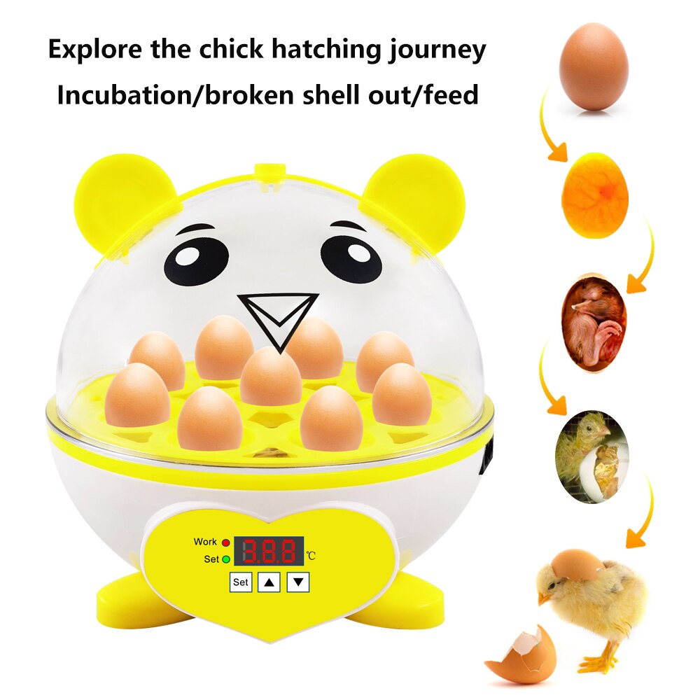 Incubadora Digital de 9 huevos para aves de corral, mejor incubadora de temperatura para granja, pollo, pato, pájaro, Paloma
