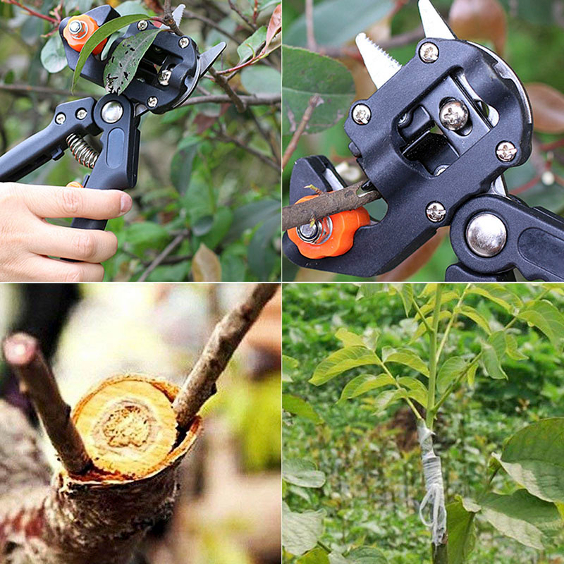 Pruning Cutting Grafting Shears Tree Pruning Shears Household Garden Shears + 2 Additional Blades Garden Tools Boxes
