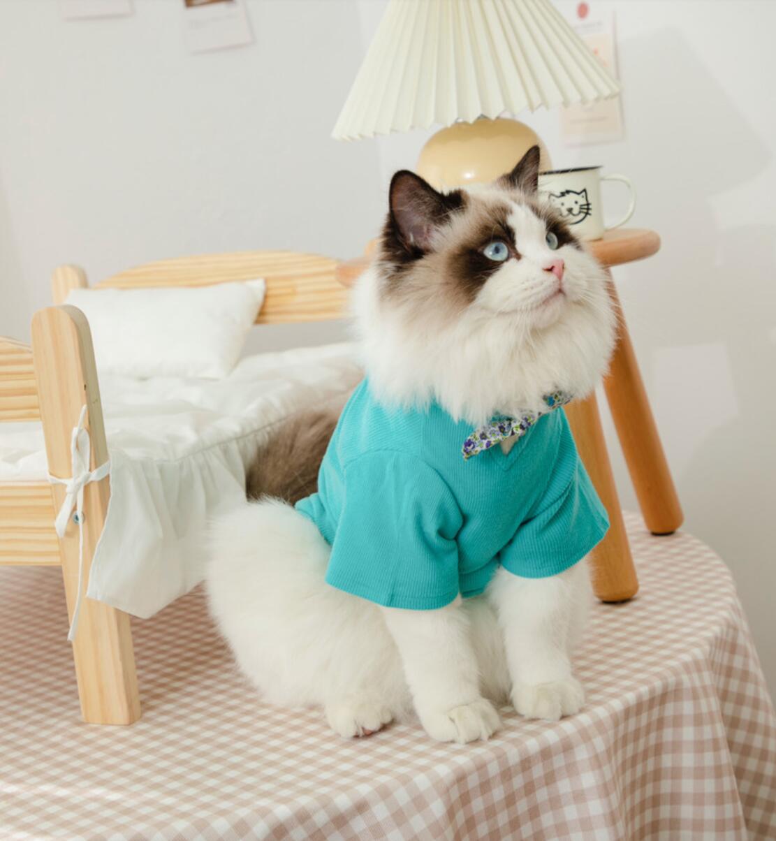 Pet Kleidung für Kleine Katzen Hunde Baumwolle Katze Kostüme Weichen Kätzchen Kitty Mantel Jacke Welpen Outfit