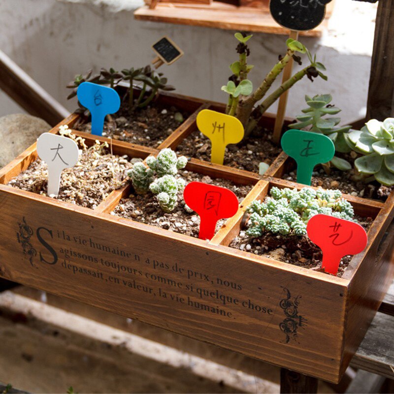 100Pcs T-Type Plant Markers Kleurrijke Pvc Plant Tags Tuin Kwekerij Label Plant Tags Waterdicht Tuinieren Tags Kas markers