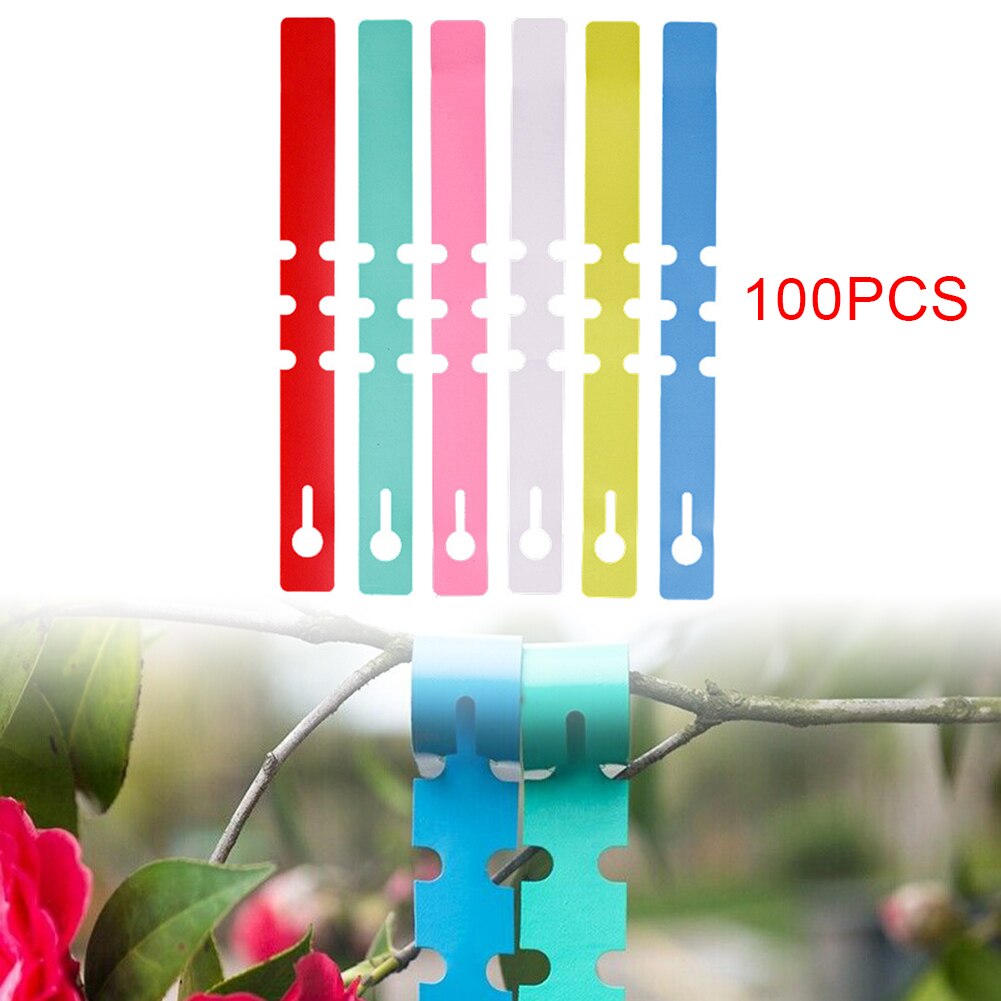 100Stck Garten Pflanze Baum Etiketten Hängen Name Stichworte Samen Kindergarten Marker Wasserdichte PVC Kunststoff