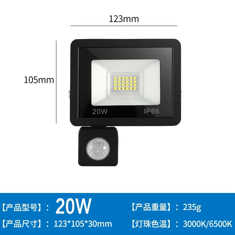 Reflectores LED 100W 50W 30W 20W 10W PIR Sensor de movimiento IP66 LED impermeable 220V colgante Exterior lámpara de pared al aire libre foco: Rojo / 6.000 K